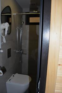 a small bathroom with a toilet and a shower at MM's Cottage in Kazbegi +25 photos