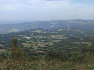 a view of a valley from a hill with trees at Casa da Torreira Naturaleza y descanso in Galegos