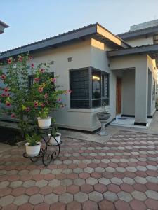 a small house with flowers in front of it at DailyPunch Apartment in Kitwe
