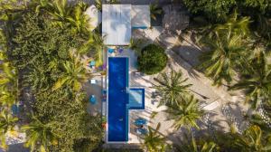 an overhead view of a pool on a beach with palm trees at Blue Mango Beach Hotel in Guachaca