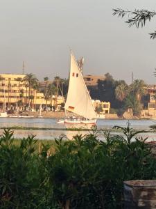 a sail boat on the water with buildings in the background at Nur al Nil Garden House in Luxor