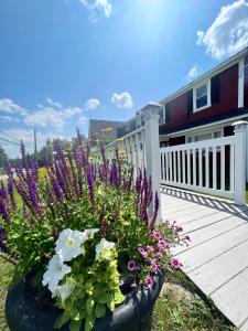 a garden of flowers on a wooden deck at Barron Brook Inn in Whitefield