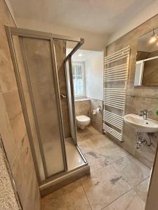a bathroom with a shower and a toilet and a sink at Gasthaus Hotel Löffelschmiede in Hinterzarten +67 photos