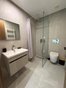 a bathroom with a sink and a shower and a toilet at Luxueux T2 à Ain Zaghouen in El Aouina