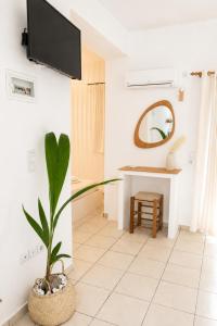 a living room with a tv and a plant at Elichri Theros Studios in Katelios