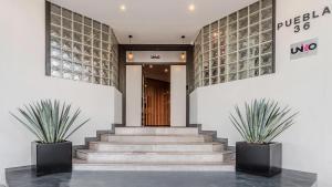 a staircase in a lobby with two potted plants at Uniko Living Roma in Mexico City