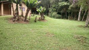 a yard with palm trees and a house at Chácara chalé in Juquitiba