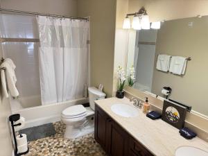 a bathroom with a sink and a toilet and a mirror at 2 Bedroom Mountain View Condo with Private Hottub in Girdwood