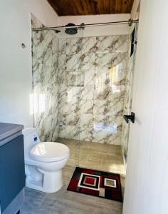 a bathroom with a toilet and a glass shower at Cabaña MonteCristo in El Peñol