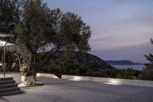 a tree in a parking lot next to a wall at Domus Villa in Ermioni