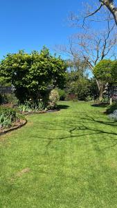 a yard with green grass and trees on a sunny day at Right Side in Greytown
