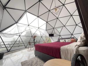 a bedroom with a large glass walled room at Meraki Cabañas & Glamping By GEstores in Mineral del Chico