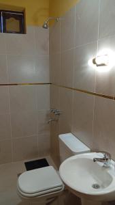 a bathroom with a toilet and a sink at Luz de la puna in La Quiaca