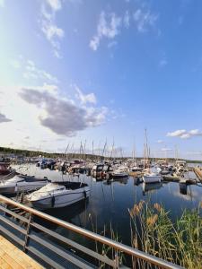 a bunch of boats are docked in a marina at Lua Beleza - 4 Bett Apartment Geiseltalsee in Mücheln