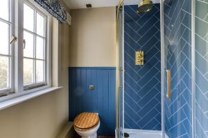a blue bathroom with a toilet and a shower at Roft Bank Cottage in Oswestry +27 photos