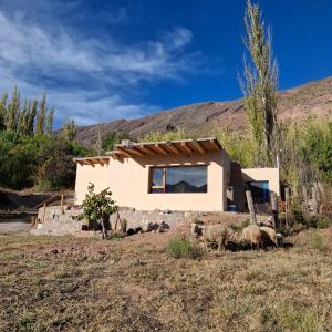 a small house in the middle of a field at El Rincón de la Quebrada in Tilcara