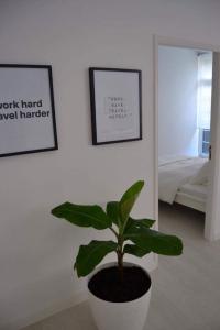 フンシャルにあるCharming Apartment 101のベッドルーム付きの部屋に鉢植え