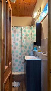 a bathroom with a sink and a shower curtain at Cabañas Iremía in Uribelarrea +61 photos