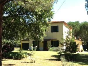 A garden outside Campo alle Monache
