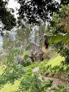 a house in the middle of a field with a tree at TsiaBie Hotel in Choachí