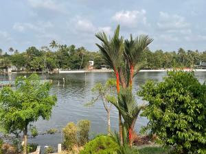 a palm tree in front of a body of water at D Cunhas Riviera in Cochin