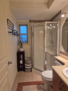 a bathroom with a shower and a toilet and a sink at Solo Room-Meadow Ridge Haven in Maple Ridge +44 photos