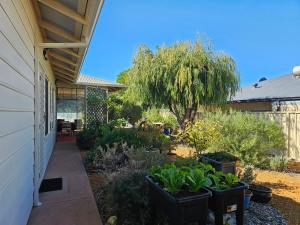 a garden with plants in pots on the side of a house at Hopetoun - footprints in the sand in Hopetoun