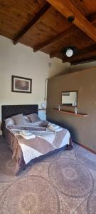 a bedroom with a bed and a mirror on the wall at Maranatha in Rufino +25 photos