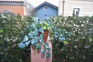 a fence with a plant in front of a blue house at Apt Is Fradis in Cagliari