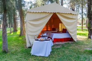 a tent with a bed and a table in the grass at Hotel Misión Comanjilla in Comanjilla