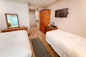 a bedroom with two beds and a mirror and a tv at So Davis St 333 Unit #414 ~ Mountaineer in Telluride