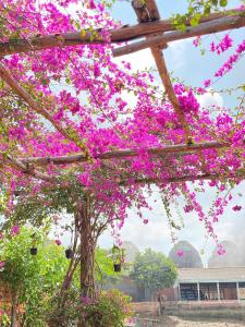 a tree covered in pink flowers in front of a building at Út Pink in Ấp Xuân Sơn