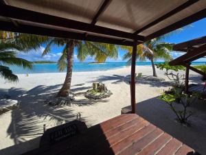 a view of a beach with palm trees and the ocean at Tikehau Herearii in Tikehau Airport