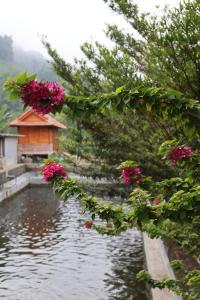 a view of a river with flowers and a house at ANOR Farmstay - Two Double Bed in Hue