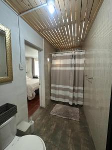 a bathroom with a shower and a toilet in it at Casa full in Santiago +31 photos