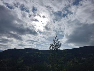 a tree on top of a hill under a cloudy sky at Glamping Jadiva in Cucunubá +5 photos