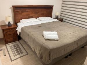 a bedroom with a large bed with two night stands and two lamps at Lagos centro Temuco in Temuco