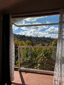 a window with a view of the forest at Mr Lapin in Santiago Sacatepéquez