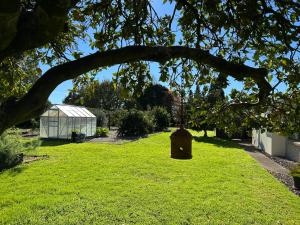 a fire hydrant sitting in the grass under a tree at The Raukawa Cottage in Tauranga