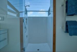 a shower with a glass door in a bathroom at Fern View - Cozy 2-bedroom house in Hokitika