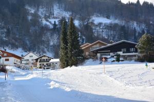 Ferienwohnung Flanuf during the winter