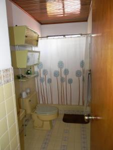 y baño con aseo y cortina de ducha. en Habitacion Santo Domingo, Heredia en Santo Domingo