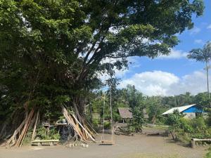 a swing in front of a large tree at Fireworks bungalows in White Sands