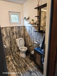 a bathroom with a toilet and a wooden floor at Cabana Denny in Mărişel +27 photos