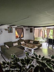 a living room with a couch and a table at Cabana Denny in Mărişel