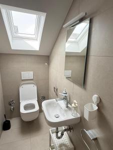 a bathroom with a toilet and a sink and a mirror at Toukam's Apartment, near Ingolstadt in Stammham +60 photos