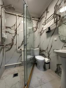 a bathroom with a shower and a toilet and a sink at Asmanguesthouse in Naryn
