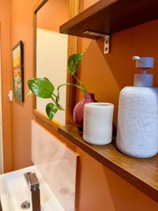 a bathroom shelf with a toilet paper and a plant at Warm, private, poolside retreat in Cable Beach +29 photos