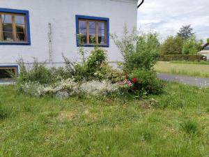 a house with a bunch of flowers in the grass at Blaues Häuschen in Gössendorf