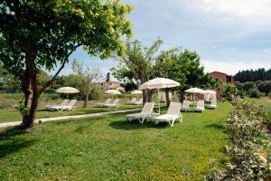 a group of lounge chairs and umbrellas in the grass at Melador beachfront studios in Kavos